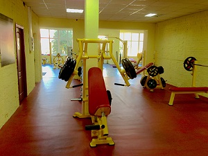 Sun_Gym1